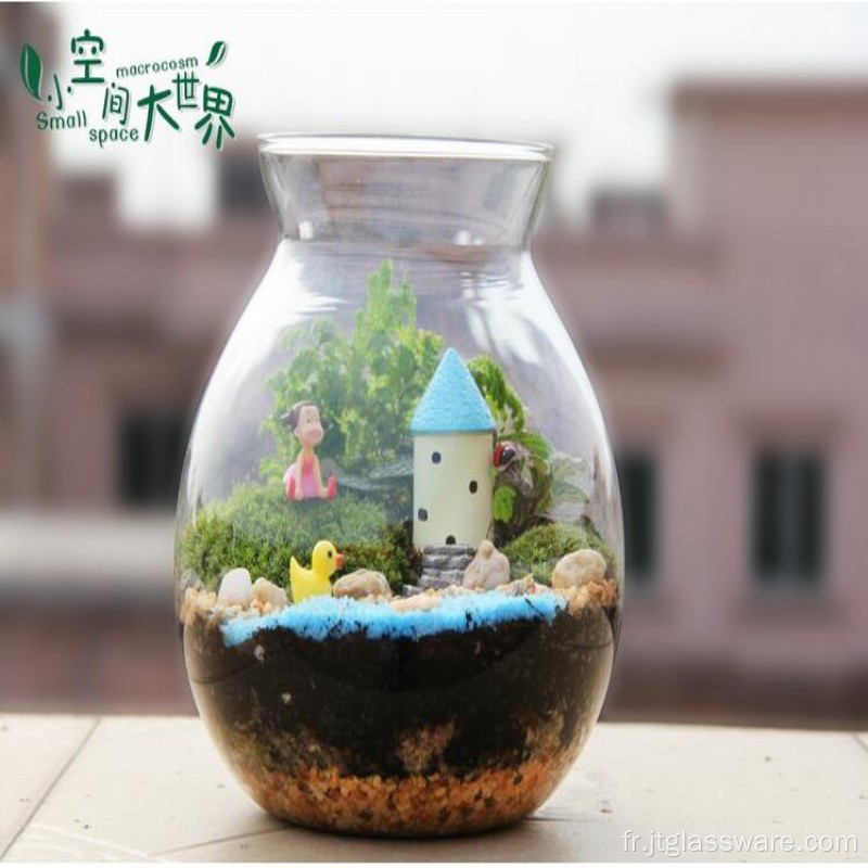 Terrarium de table en verre pour plantes