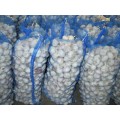 Alho branco fresco normal para armazenamento refrigerado 2020