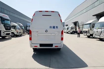 Foton 6cbm freezer box truck