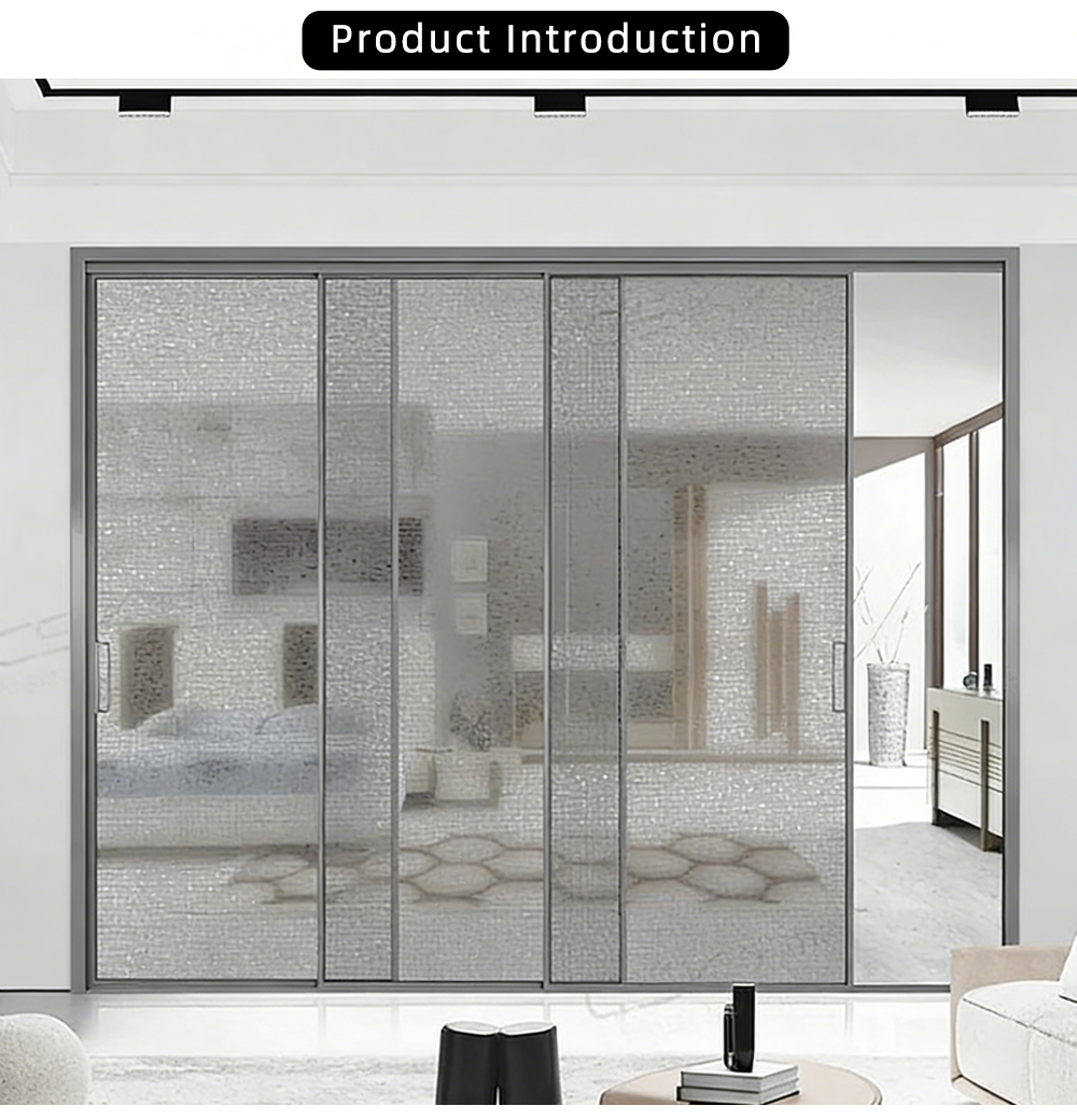 Modern Decorative Glass Sliding Door YJ-R027