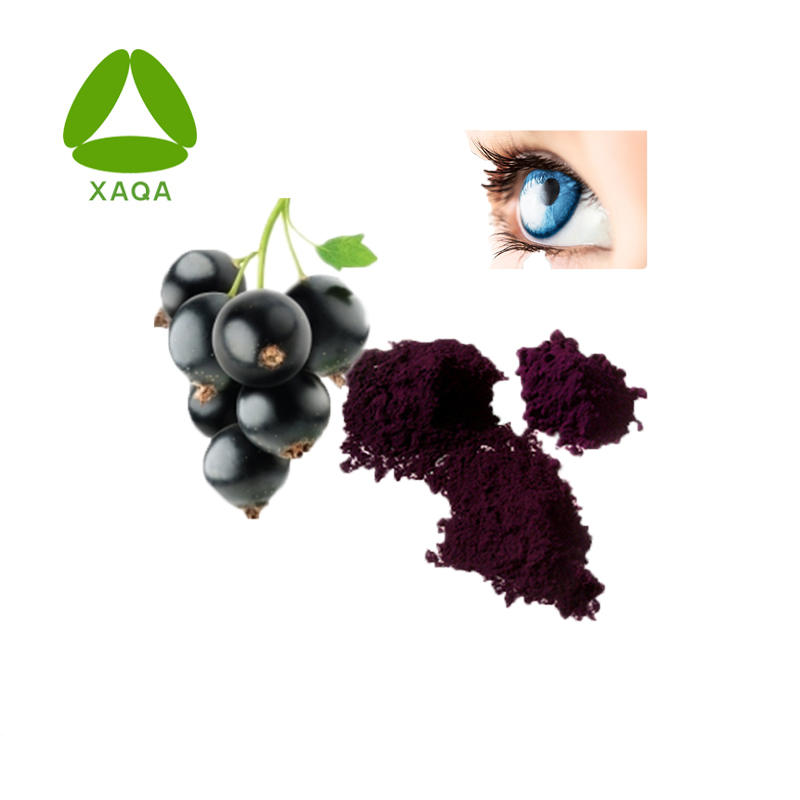 Eye Care Black Currant Extract Anthocyanidins 20% Powder