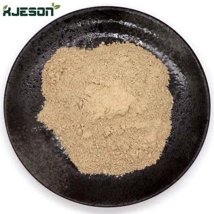 Wholesale sea cucumber powder sea cucumber peptide