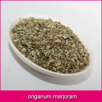 origanum marjoram