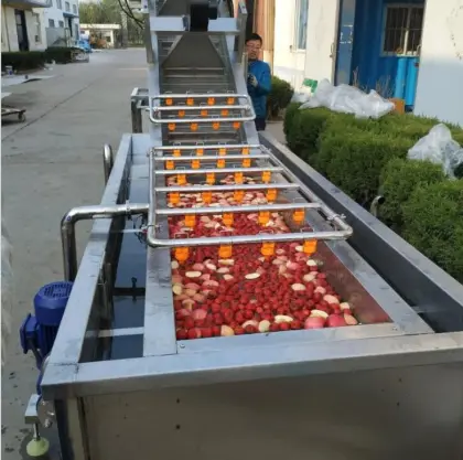 Ultrasonic Leafy Vegetable Washing Machine