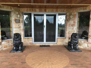 Bronze Pair Of Lion Statue For Outdoor Decoration