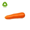 Material de coloração animal corante beta-caroteno em pó 10%