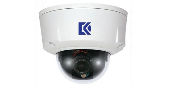H.264 Outdoor Ip Security Camera Network Support Iphone Ipad Android
