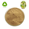 Cactus Extract Flavone Powder 10:1