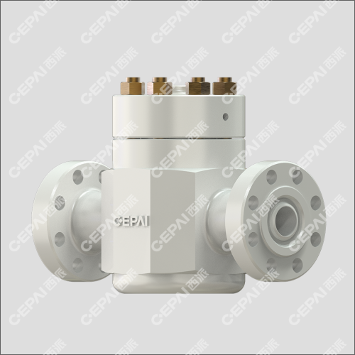 Lift Check Valve