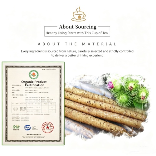 Yunnan Organiczny świeży korzeń łopianu