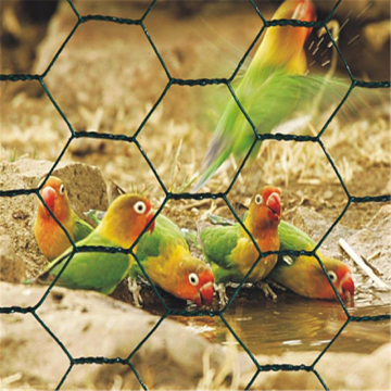 Lowest Price Galvanized Chicken Wire Netting