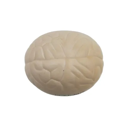 Wholesale Brain-Shaped Stress Balls: Soft PU Slow Raising Toy Teaching Aids