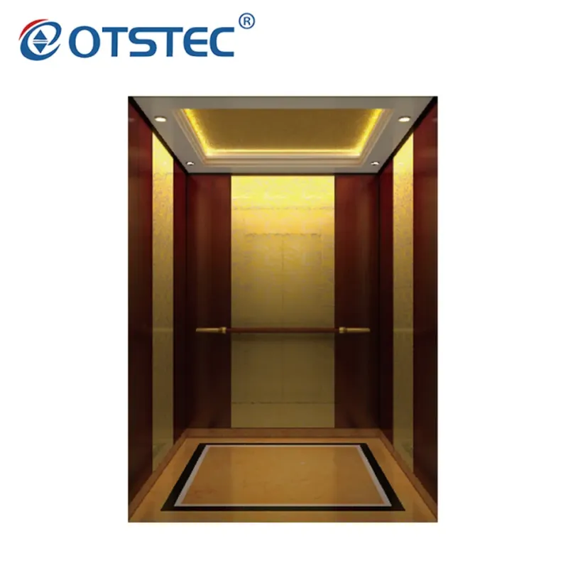 Gearless Hairline Stainless Steel Passenger Elevator Lift