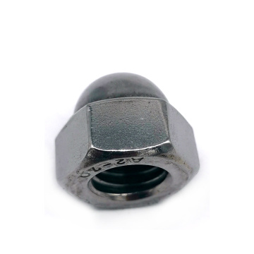 High Quality Non Standard Hexagon Domed Nut M16