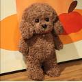 Poupée de chiot en peluche indisportée en peluche