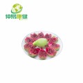 Bulk Prickly Pear Extract