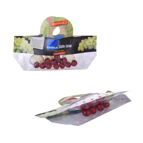 Fresh Fruit Standing Pouch Slidder Zipper Custom Packaging