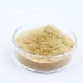 Mung Bean Protein Extract Wholesale Mung Bean Extract