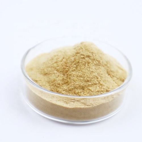 Mung Bean Protein Extract Wholesale Mung Bean Extract