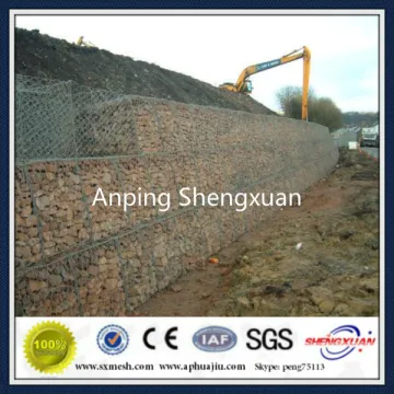 Gabion protective mesh for river bank