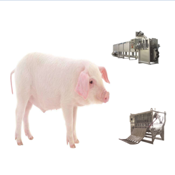 Pig Slaughter Equipment for Swine Hog Abattoir
