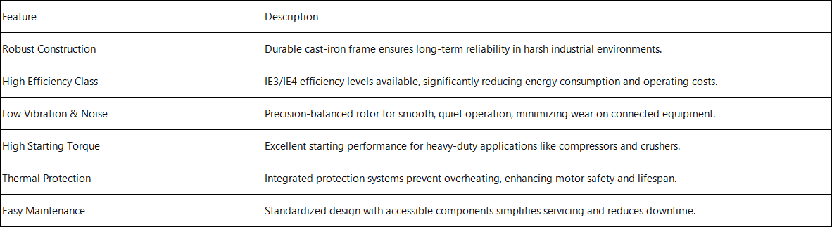 Three-Phase Asynchronous Induction Motor Technical Features