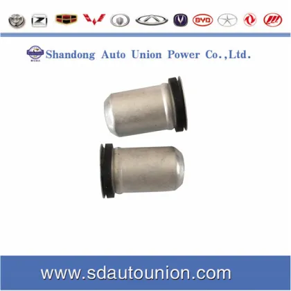Greatwall Auto Spare Parts Spark Plug Sleeve 1003011-E00