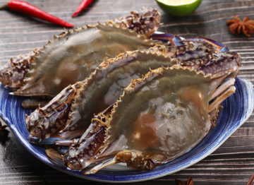 Zhoushan gotował mrożony krab pływacki