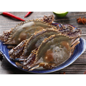 Zhoushan ປຸງ​ແຕ່ງ​ກະ​ປູ​ລອຍ Frozen​