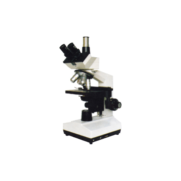 Microscope World: Jelajahi dunia makro dan mikro dengan mesin pencari canggih kami