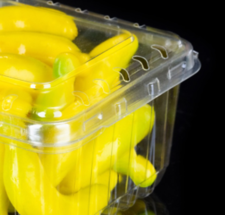 Scatola di imballaggio a conchiglia in plastica blister