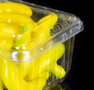 Plastic Blister Clamshell Packaging Box
