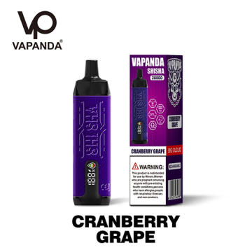 Wholesale Vape 20000puffs Vapanda Shisha E Cig Vape