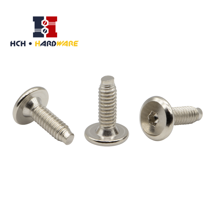 Internal Hexagon Screw 05 Jpg