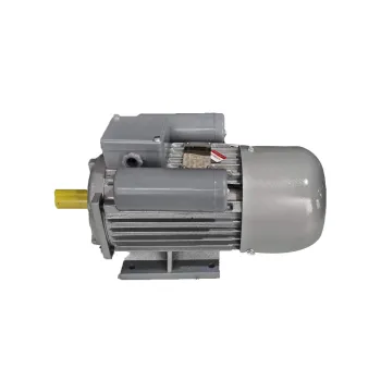 Single Phase 220V 300W High Efficient Low RPM AC Motor