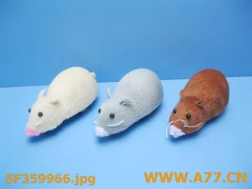 mouse