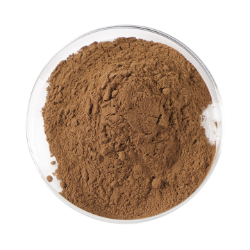 Organic Sea Buckthorn Powder