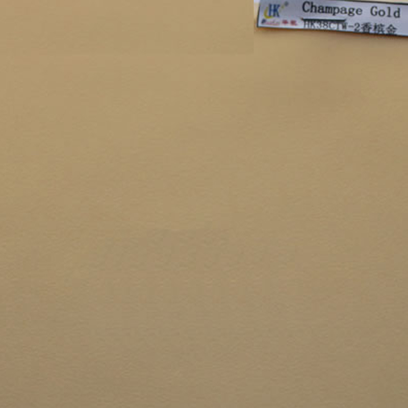 Champage Gold HK38CTW-2-Color EVA 영화