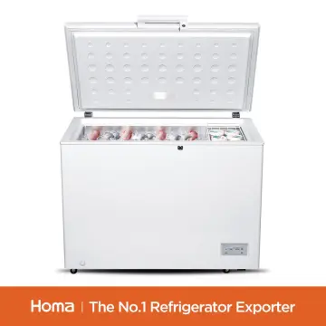BE1-316 household White chest freezer