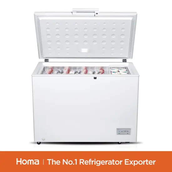 BE1-316 household White chest freezer