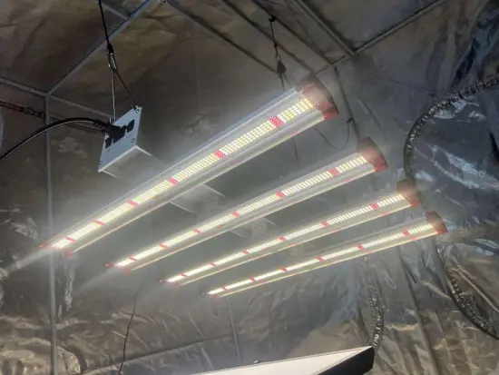 DIY Cheap Lm301H Grow Light