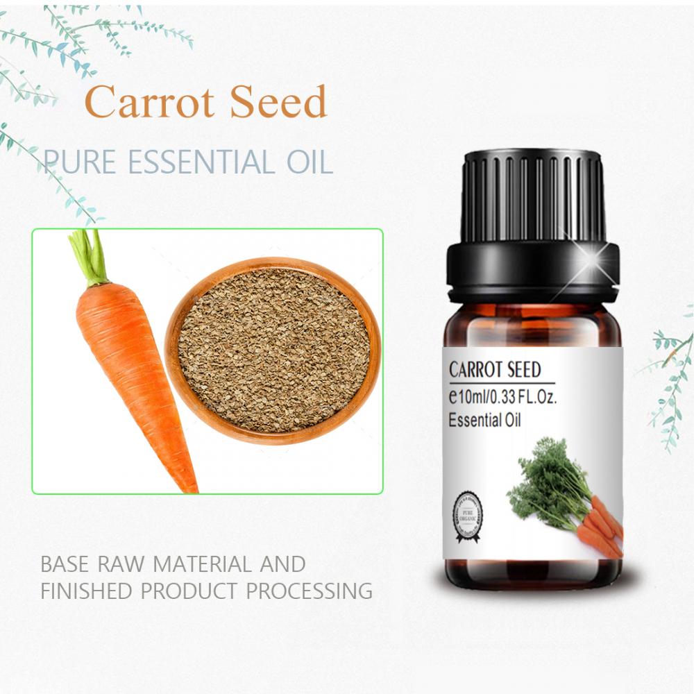 cosmetic grade private label carrot seed essential oil