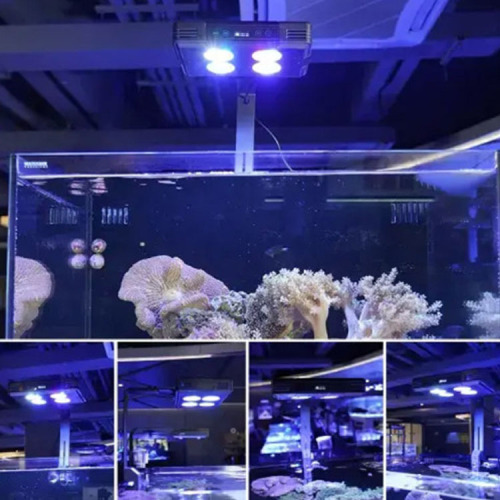 Lámpara de coral de arrecife de LED de acuario dimmable