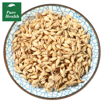 Germinated Barley (Mai Ya) Fructus Hordei Germinatus