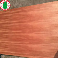 wood plywood 2018 customers best quality