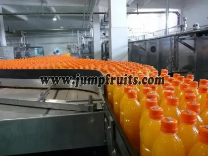 Apple juice making machine juice processing machine