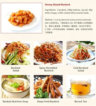 Yunnan Organic Fresh Burdock Root