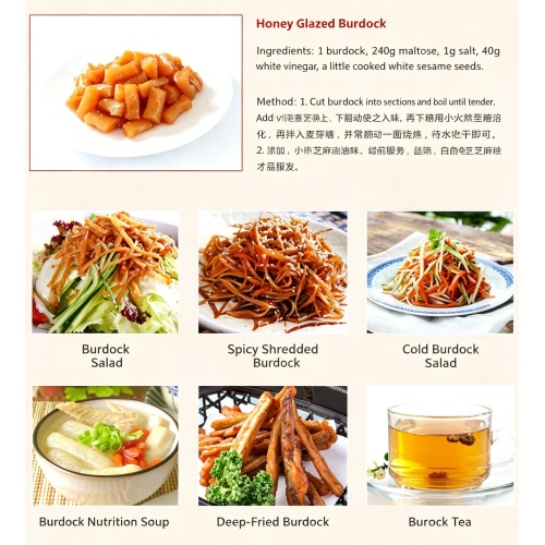 Yunnan Organiczny świeży korzeń łopianu