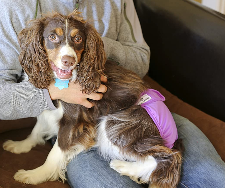 3pack Washable Dog Diapers