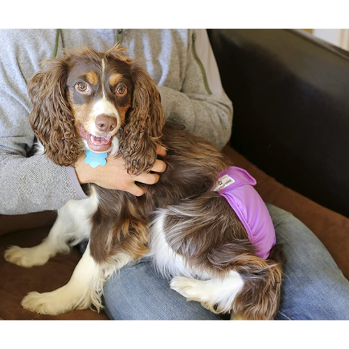 3pack waschbare Hundewindeln